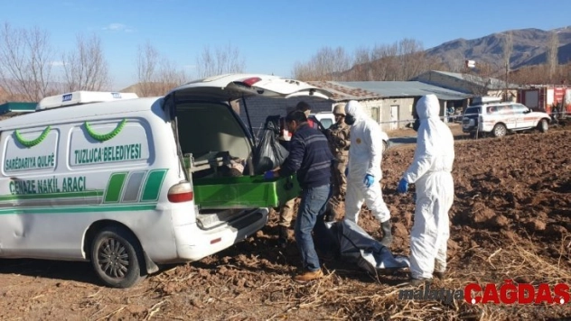 Fosseptik çukurunda insan kemikleri bulundu