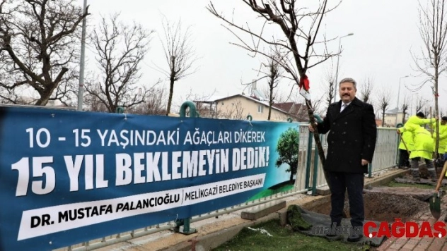 Gazetecilere özel ağaç dikimi yapılacak