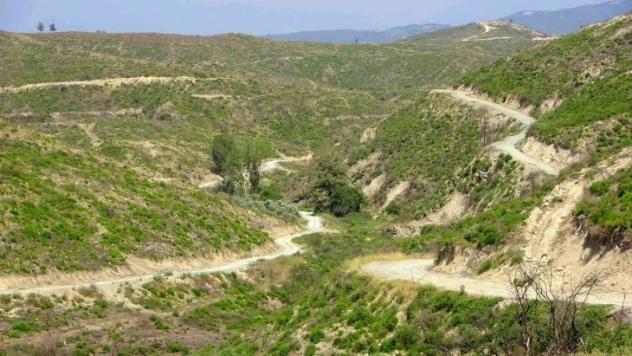Geçen yıl yanan ormanlık alan küllerinden yeniden doğdu