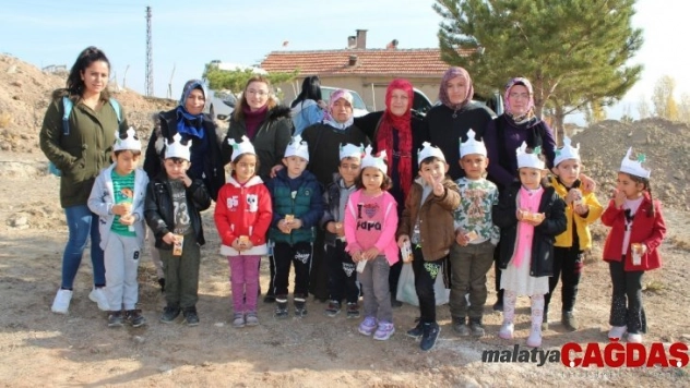 Gemerek'te 30 bin Fidan Toprakla Buluştu