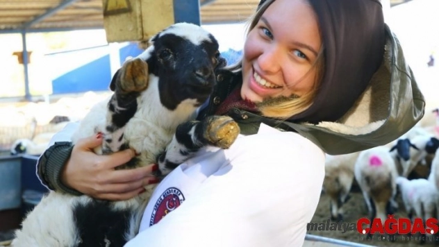 Genç veteriner hekimlerden Sakız koyunu çiftliğine ziyaret