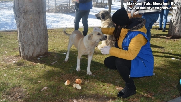 Gençler sokak hayvanlarını unutmuyor