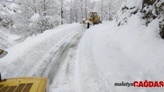 Giresun'da karla mücadele çalışmaları başladı