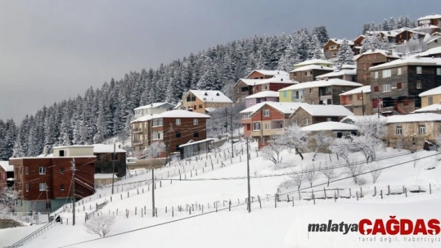 Giresun yaylalarında kar keyfi
