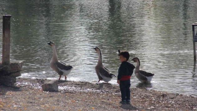 Gölbaşı Gölleri Tabiat Parkı sonbaharda ayrı güzel