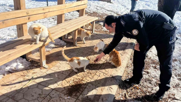 Gölbaşı ilçesinde polisler sokak hayvanları için mama bıraktı