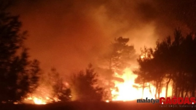 Gölbaşı'nda ormanlık alan yandı