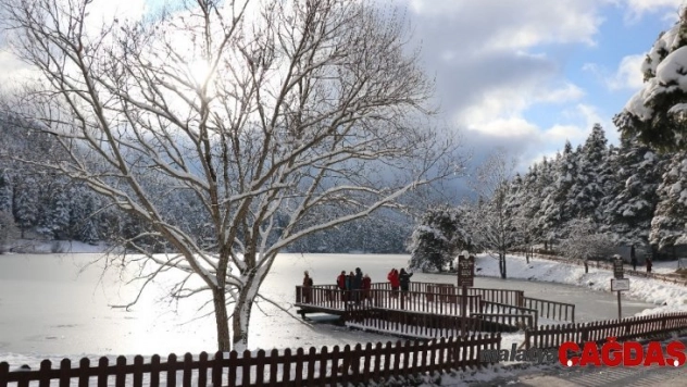 Gölcük Tabiat Parkı'ndaki göl buz tuttu
