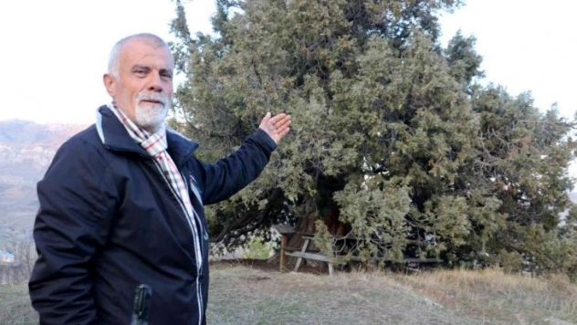 Görenleri hayrete düşürüyor, yaklaşık bin yıllık