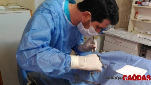 Görme kaybı yaşayan köpek tedavi edildi