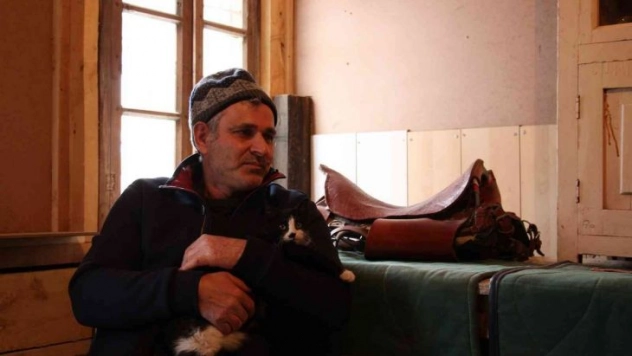 Göz bebeği yeşil kedi dikkat çekiyor