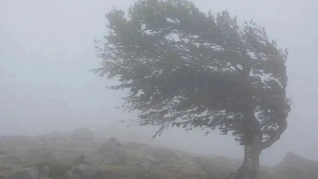 Güneydoğu'da Fırtına Alarmı: Vatandaşlar Tedbirli Olun