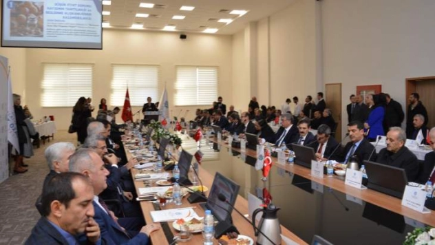 Kayısı Çalıştayının sonuç bildirgesi kamuoyu ile paylaşıldı