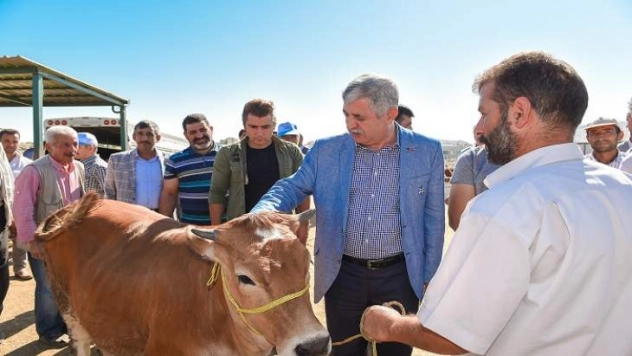 Başkan Polat Hayvan Pazarı'nda incelemelerde bulundu