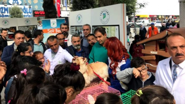 Kalbimiz Sokak'ta Atıyor Etkinliği Büyük İlgi Gördü