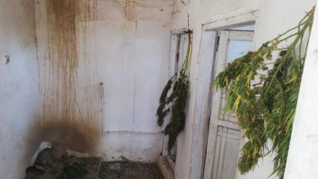 Van'da uyuşturucu operasyonu