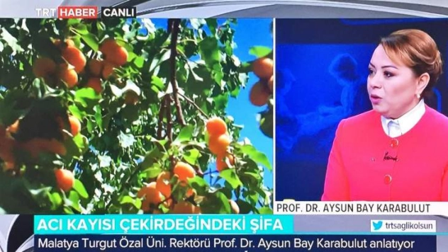 Karabulut: 'Anadolu tıbbını modern bilimin ışığında geliştireceğiz'