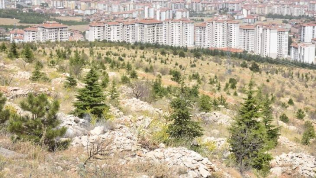 Beydağı'ndaki ağaçlandırma çalışmaları