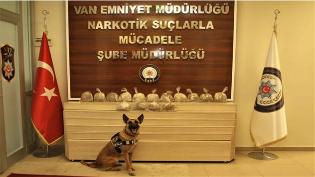 Koyun yüklü kamyondan uyuşturucu çıktı