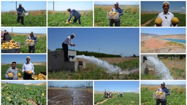 Yazıhan Ovası'nda su bereketi