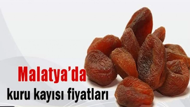Organik kuru kayısının kilogramı 21 liradan işlem gördü