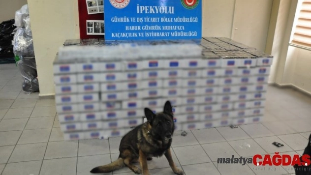 Habur Sınır Kapısı'nda 74 bin paket kaçak sigara ele geçirildi