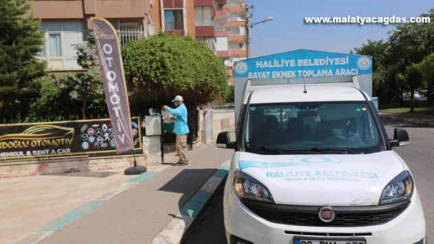 Haliliye'de ekmek israfı önleniyor