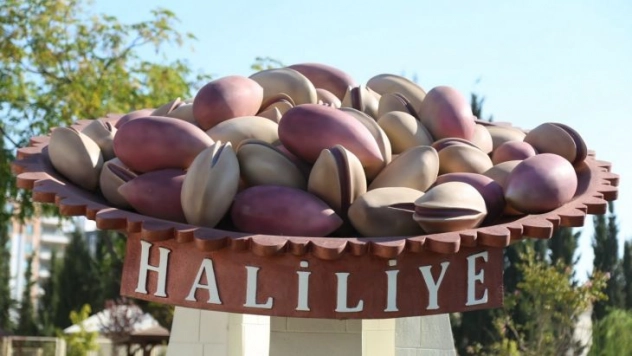 Haliliye'nin nufüsu 31 ili geride bıraktı