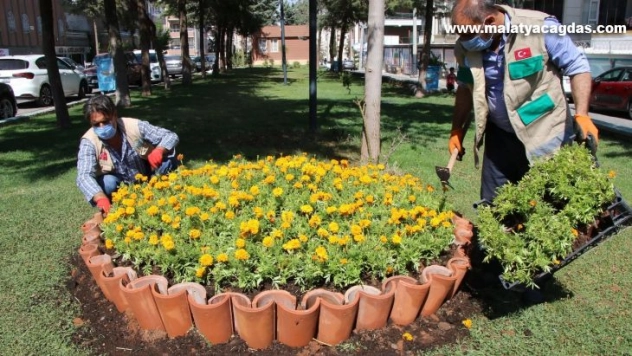 Haliliye parklarında peyzaj çalışması