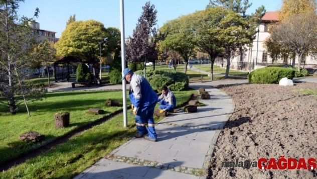 Hamamönü'nde bahar hazırlığı
