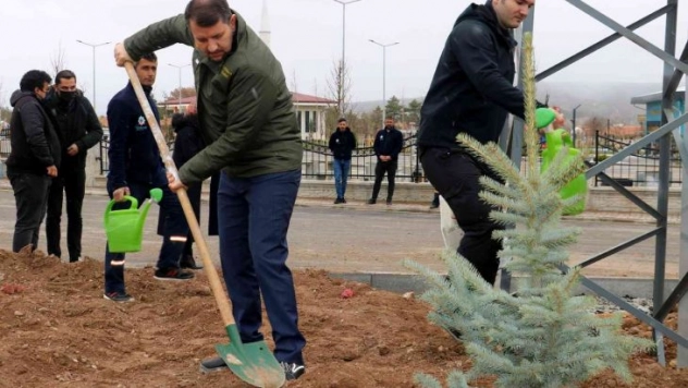 Hamidiye 350 fidanla taçlandı