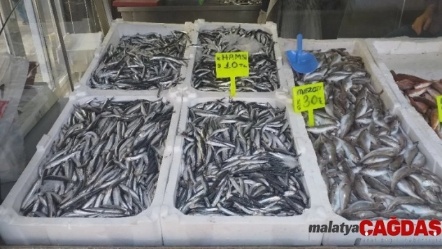 Hamsi, fiyatı ile enflasyona meydan okudu