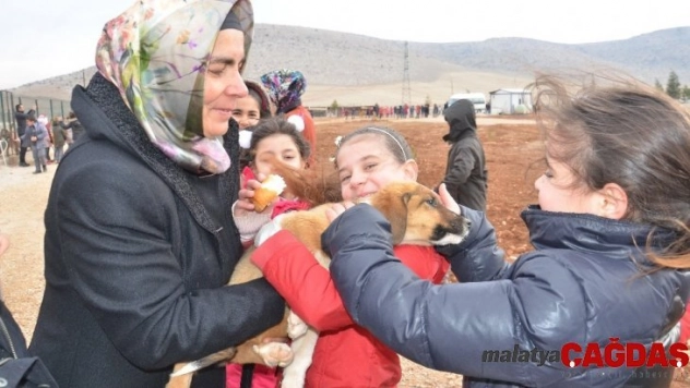 Harçlıklarıyla sokak hayvanlarına 2,5 ton sakatat aldılar
