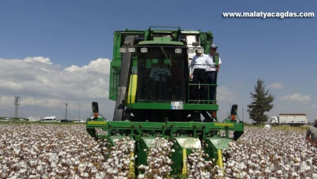 Hatay'da 'Tarlı Günü'nde pamuk pasadı yapıldı