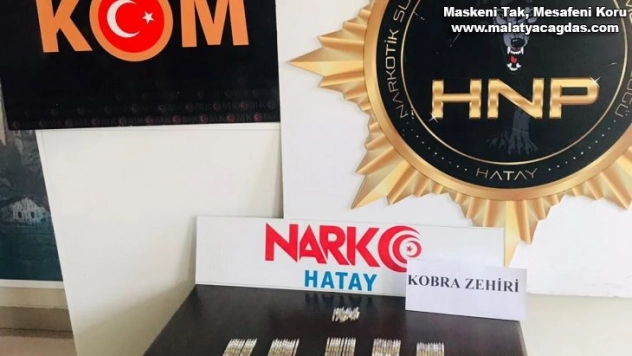 Hatay'da 156 tüp kobra zehri ele geçirildi