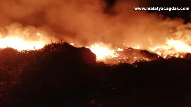 Hatay'da bahçe yangını korkuttu