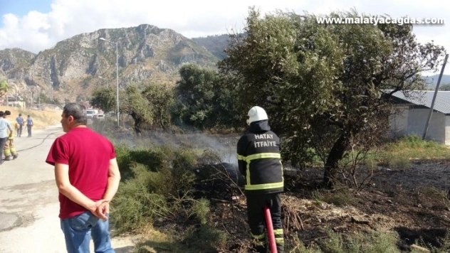 Hatay'da bahçe yangını korkuttu