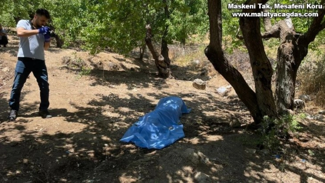 Hatay'da bahçesine kayısı toplamaya giden yaşlı adam ölü bulundu