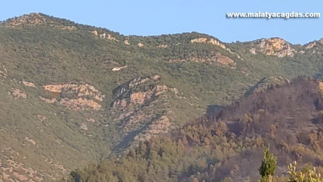 Hatay'da çıkan orman yangını kontrol altına alındı
