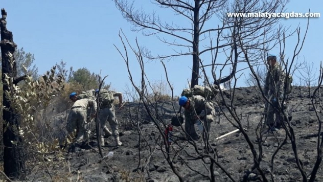 Hatay'da komandolar yangın söndürüyor