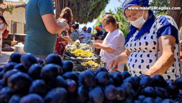 Hatay'da Meryem Ana Yortusu ve Üzüm Bayramı kutlandı