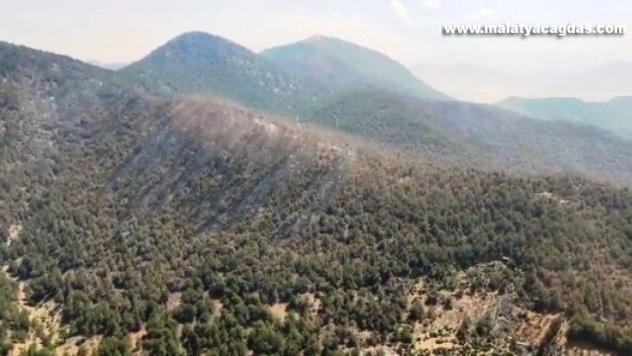 Hatay'da orman yangını üçüncü gün kontrol altına alındı