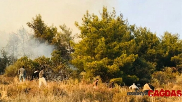 Hatay'da orman yangını