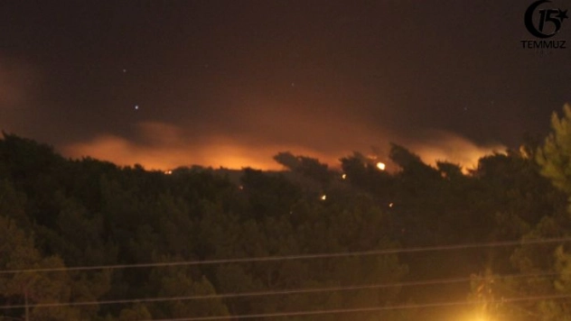 Hatay'da orman yangını