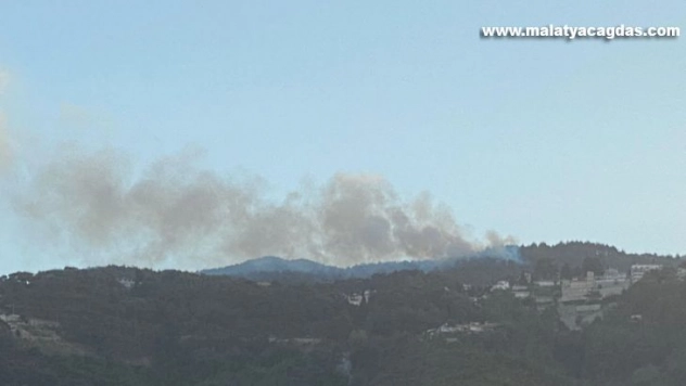 Hatay'da orman yangını