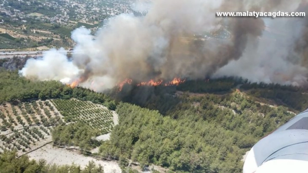 Hatay'da orman yangınına müdahale ediliyor