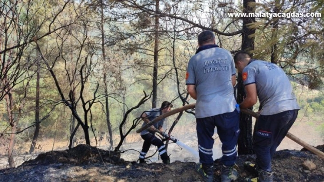 Hatay'da ormanlık alanın yakınında çıkan bahçe yangını kontrol altına alındı