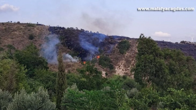 Hatay'da örtü yangını korkuttu