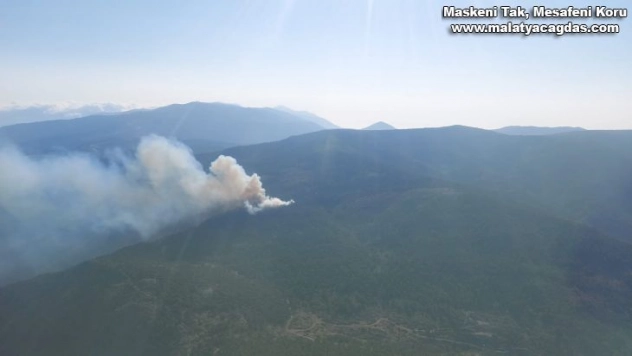 Hatay'da örtü yangınında 3 hektar alan zarar gördü