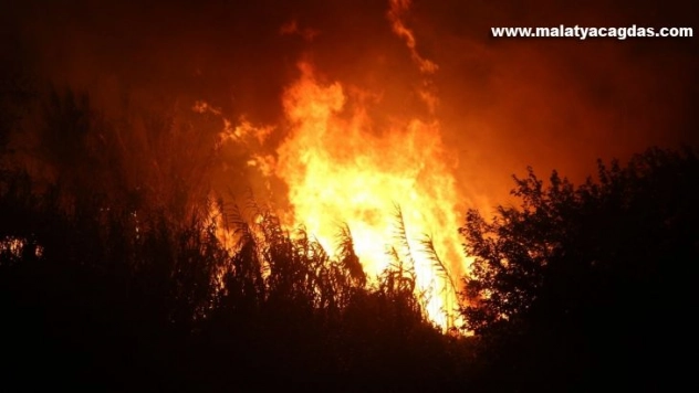 Hatay'da otluk yangını kontrol altına alındı